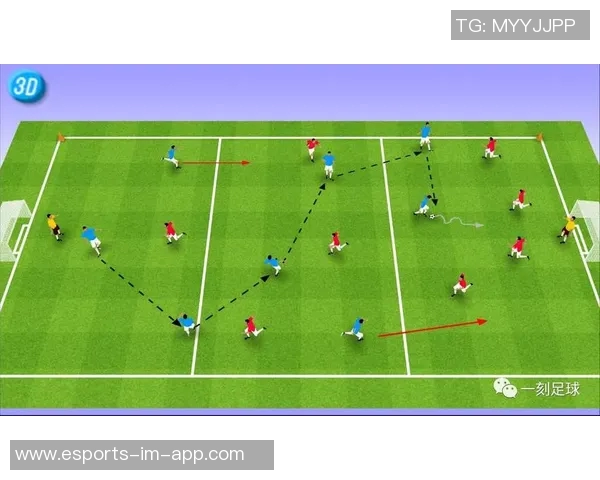 从足球明星脚型特点看球员技术与场上位置关系分析