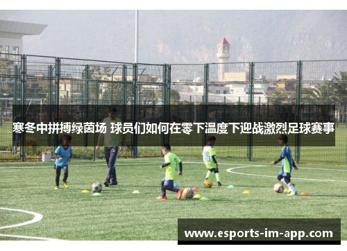 寒冬中拼搏绿茵场 球员们如何在零下温度下迎战激烈足球赛事